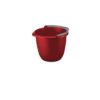 Mop Bucket 